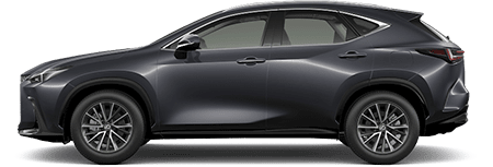 NX 350h
